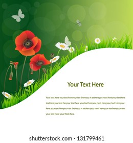 Flyer,spring background with daisies.Vector eps10, illustration.