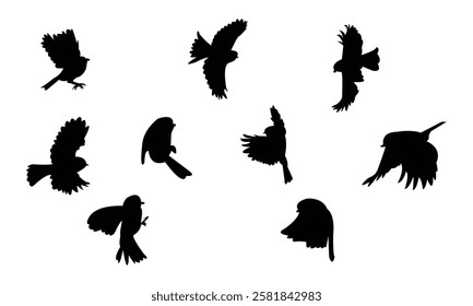 Flying African Blue Tit bird Silhouette Design  And Vector Illustration. 