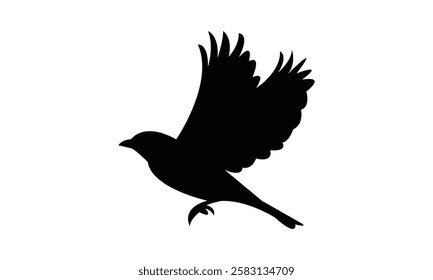 Flying African Chaffinch bird Silhouette Design  And Vector Illustration. 