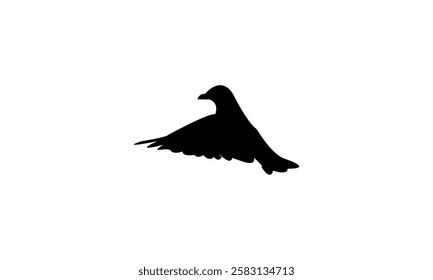 Flying African Chaffinch bird Silhouette Design  And Vector Illustration. 