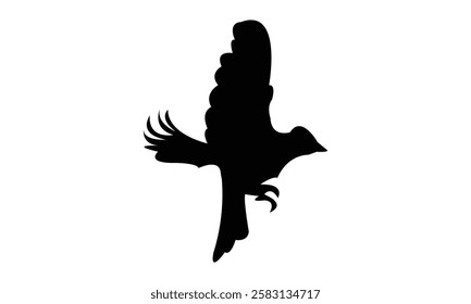 Flying African Chaffinch bird Silhouette Design  And Vector Illustration. 