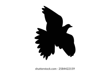 Flying African collared dove bird Silhouette Design  And Vector Illustration. 