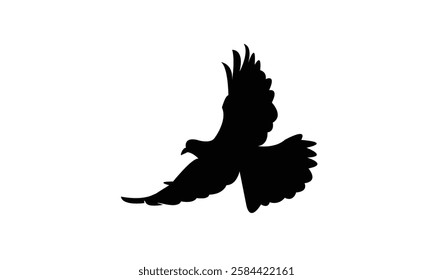 Flying African collared dove bird Silhouette Design  And Vector Illustration. 