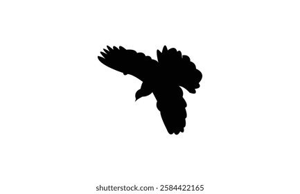 Flying African collared dove bird Silhouette Design  And Vector Illustration. 