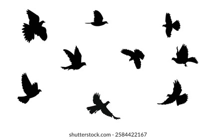 Flying African collared dove bird Silhouette Design  And Vector Illustration. 