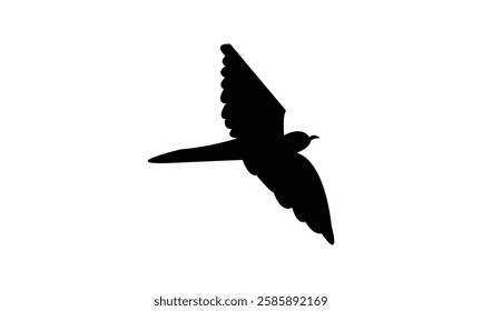 Flying African cuckoo bird Silhouette Design  And Vector Illustration. 