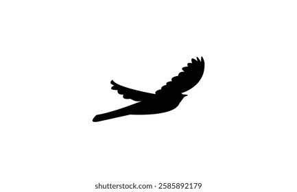 Flying African cuckoo bird Silhouette Design  And Vector Illustration. 