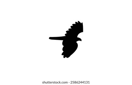 Flying African cuckoo hawk bird Silhouette Design  And Vector Illustration. 