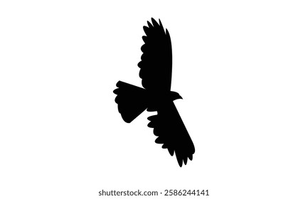 Flying African cuckoo hawk bird Silhouette Design  And Vector Illustration. 