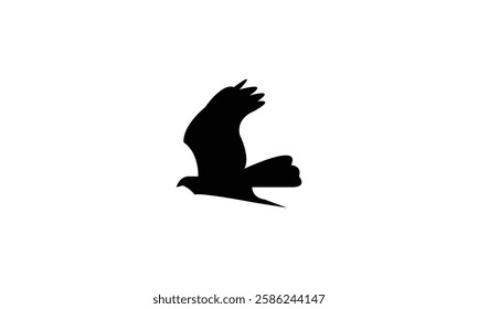 Flying African cuckoo hawk bird Silhouette Design  And Vector Illustration. 