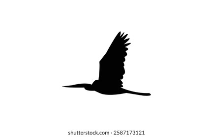 Flying African darter bird Silhouette Design  And Vector Illustration. 