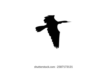 Flying African darter bird Silhouette Design  And Vector Illustration. 