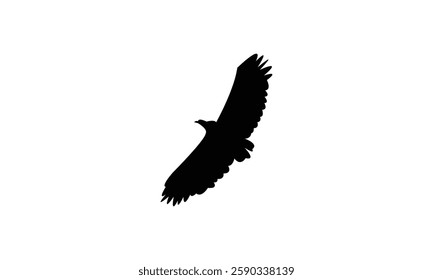 Flying African fish eagle bird Silhouette Design  And Vector Illustration. 
