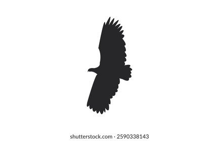 Flying African fish eagle bird Silhouette Design  And Vector Illustration. 
