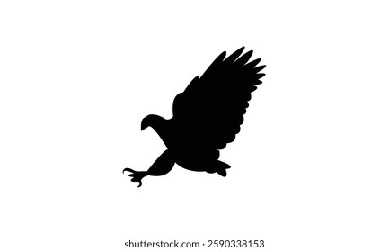 Flying African fish eagle bird Silhouette Design  And Vector Illustration. 
