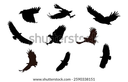 Flying African fish eagle bird Silhouette Design  And Vector Illustration. 
