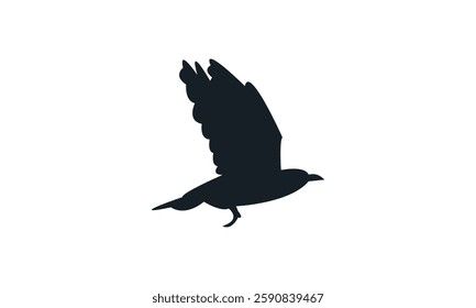 Flying African golden oriole bird Silhouette Design  And Vector Illustration. 