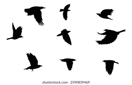 Flying African golden oriole bird Silhouette Design  And Vector Illustration. 