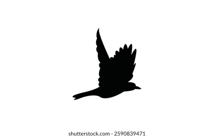 Flying African golden oriole bird Silhouette Design  And Vector Illustration. 