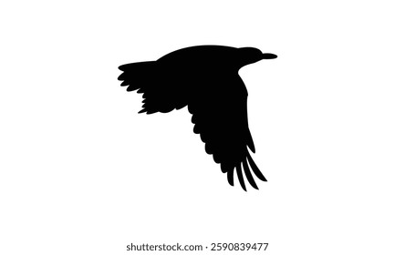 Flying African golden oriole bird Silhouette Design  And Vector Illustration. 