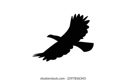 Flying African grey hornbill bird Silhouette Design  And Vector Illustration. 