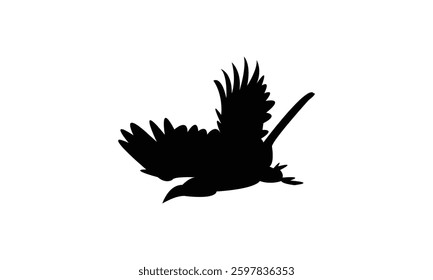Flying African grey hornbill bird Silhouette Design  And Vector Illustration. 