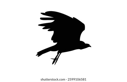 Flying African harrier hawk bird Silhouette Design  And Vector Illustration. 