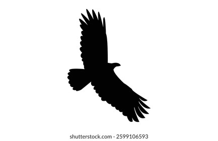 Flying African harrier hawk bird Silhouette Design  And Vector Illustration. 