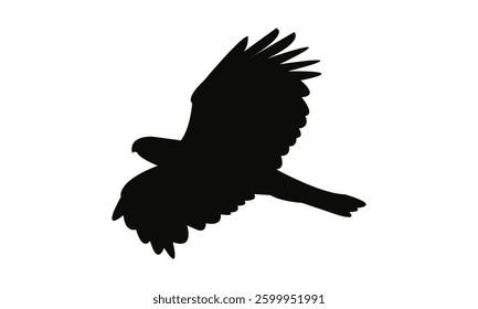 Flying African hawk eagle bird Silhouette Design  And Vector Illustration. 