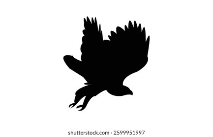 Flying African hawk eagle bird Silhouette Design  And Vector Illustration. 