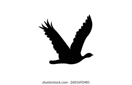 Flying African houbara bird Silhouette Design  And Vector Illustration. 