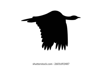 Flying African houbara bird Silhouette Design  And Vector Illustration. 