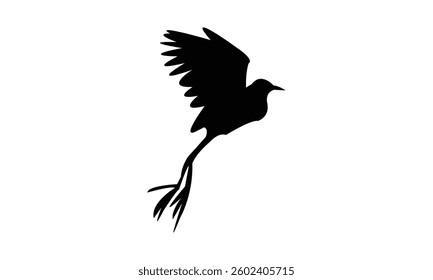 Flying African jacana bird Silhouette Design  And Vector Illustration. 