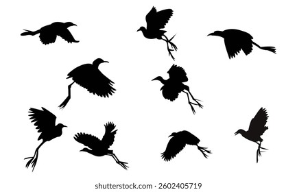 Flying African jacana bird Silhouette Design  And Vector Illustration. 