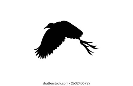 Flying African jacana bird Silhouette Design  And Vector Illustration. 