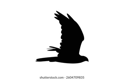 Flying African marsh harrier bird Silhouette Design  And Vector Illustration. 