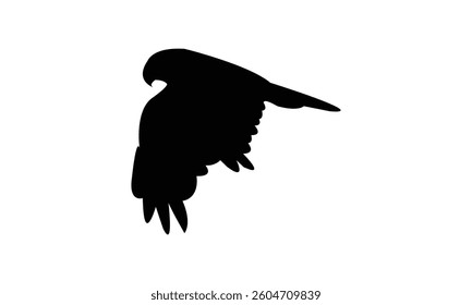 Flying African marsh harrier bird Silhouette Design  And Vector Illustration. 