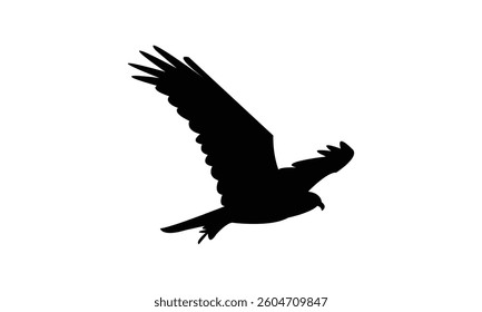 Flying African marsh harrier bird Silhouette Design  And Vector Illustration. 