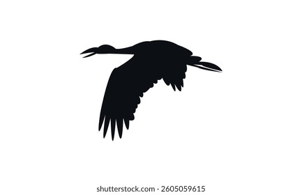 Flying African openbill bird Silhouette Design  And Vector Illustration. 