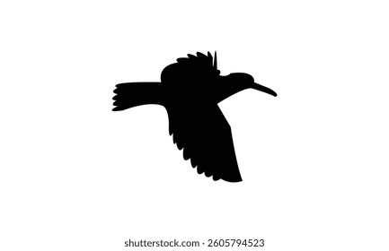 Flying African oystercatcher bird Silhouette Design  And Vector Illustration. 