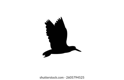 Flying African oystercatcher bird Silhouette Design  And Vector Illustration. 