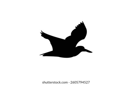 Flying African oystercatcher bird Silhouette Design  And Vector Illustration. 