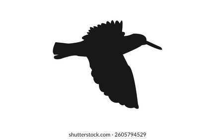 Flying African oystercatcher bird Silhouette Design  And Vector Illustration. 