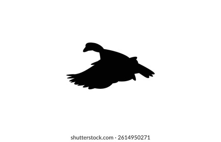 Flying African pygmy goose bird Silhouette Design  And Vector Illustration. 