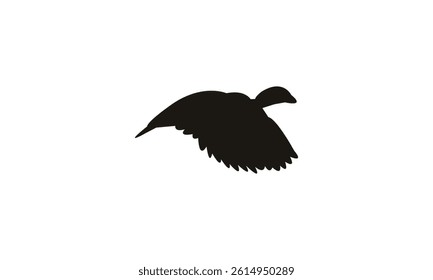 Flying African pygmy goose bird Silhouette Design  And Vector Illustration. 