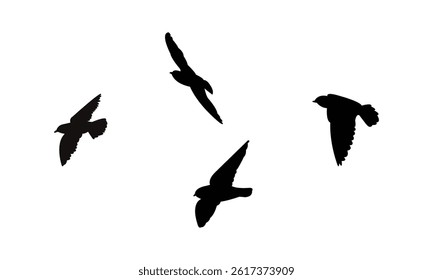 Flying African river martin bird Silhouette Design  And Vector Illustration. 