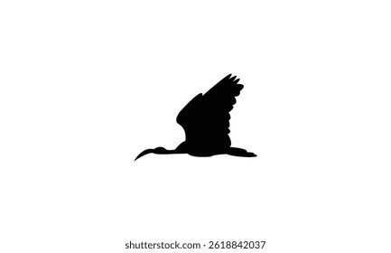 Flying African sacred ibis bird Silhouette Design  And Vector Illustration. 
