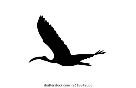 Flying African sacred ibis bird Silhouette Design  And Vector Illustration. 
