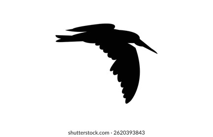 Flying African skimmer bird Silhouette Design  And Vector Illustration. 