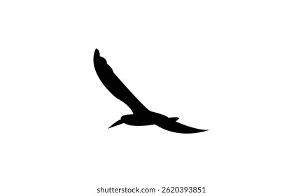 Flying African skimmer bird Silhouette Design  And Vector Illustration. 